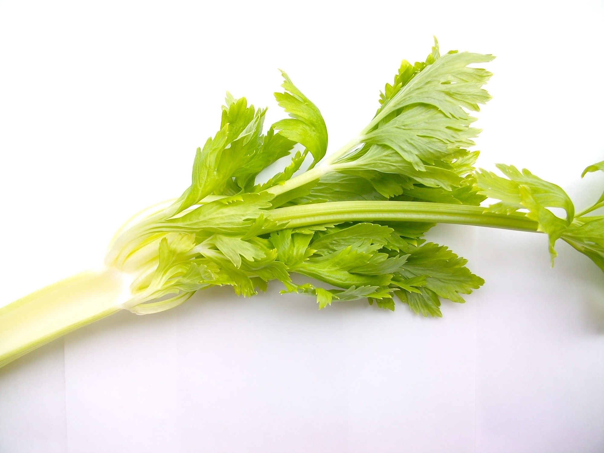 benefits of eating celery before bed