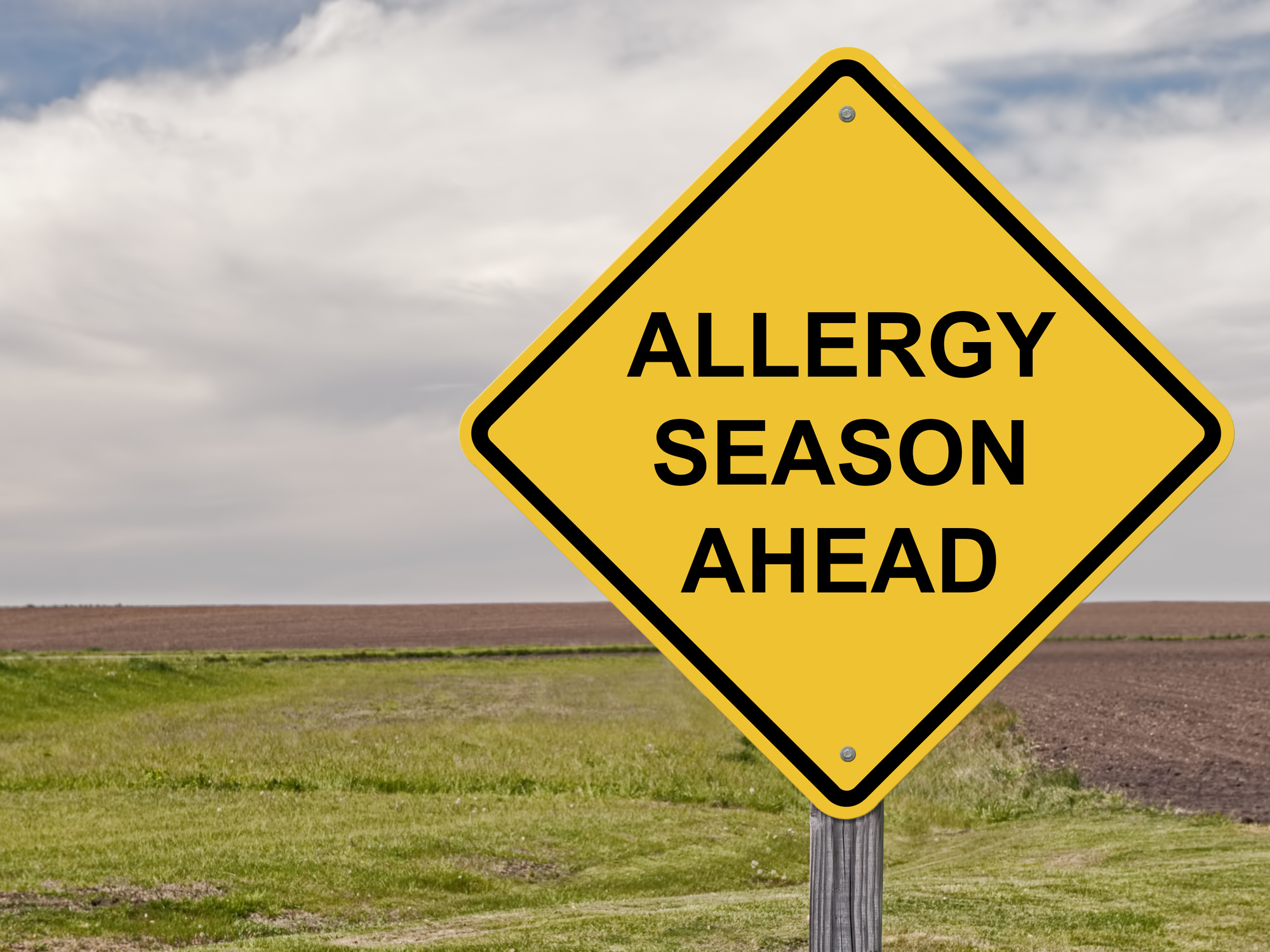 best allergy medication