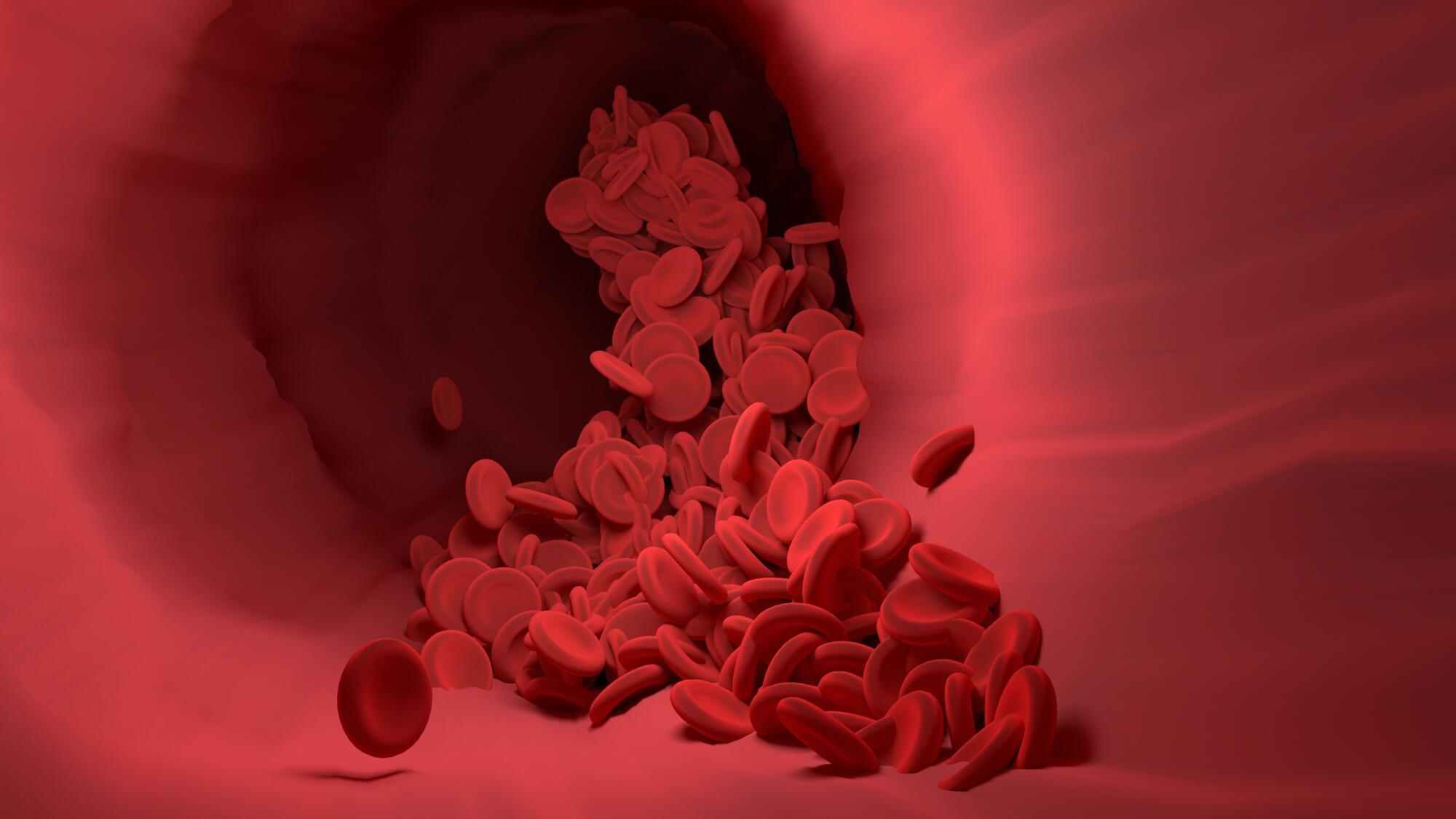 how to increase ferritin levels